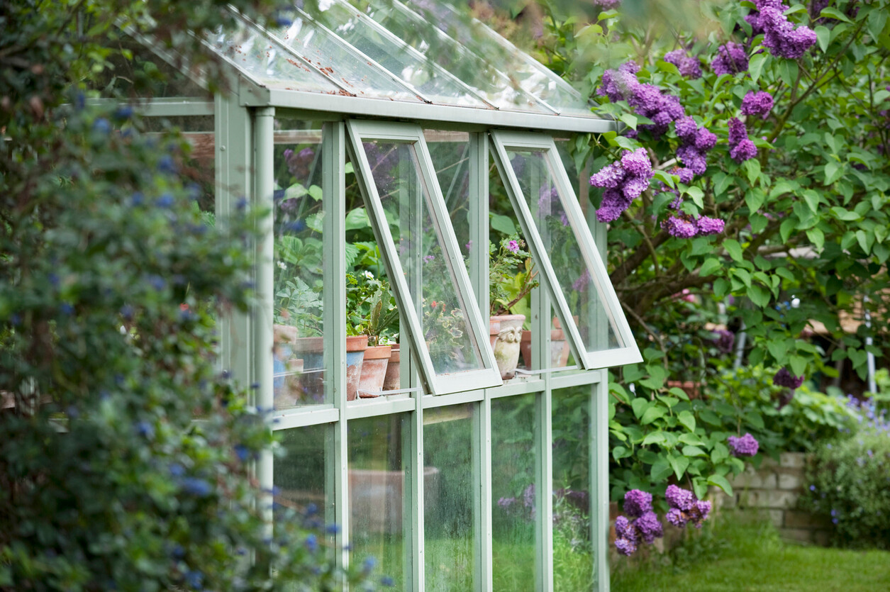open windows in a greenhouse