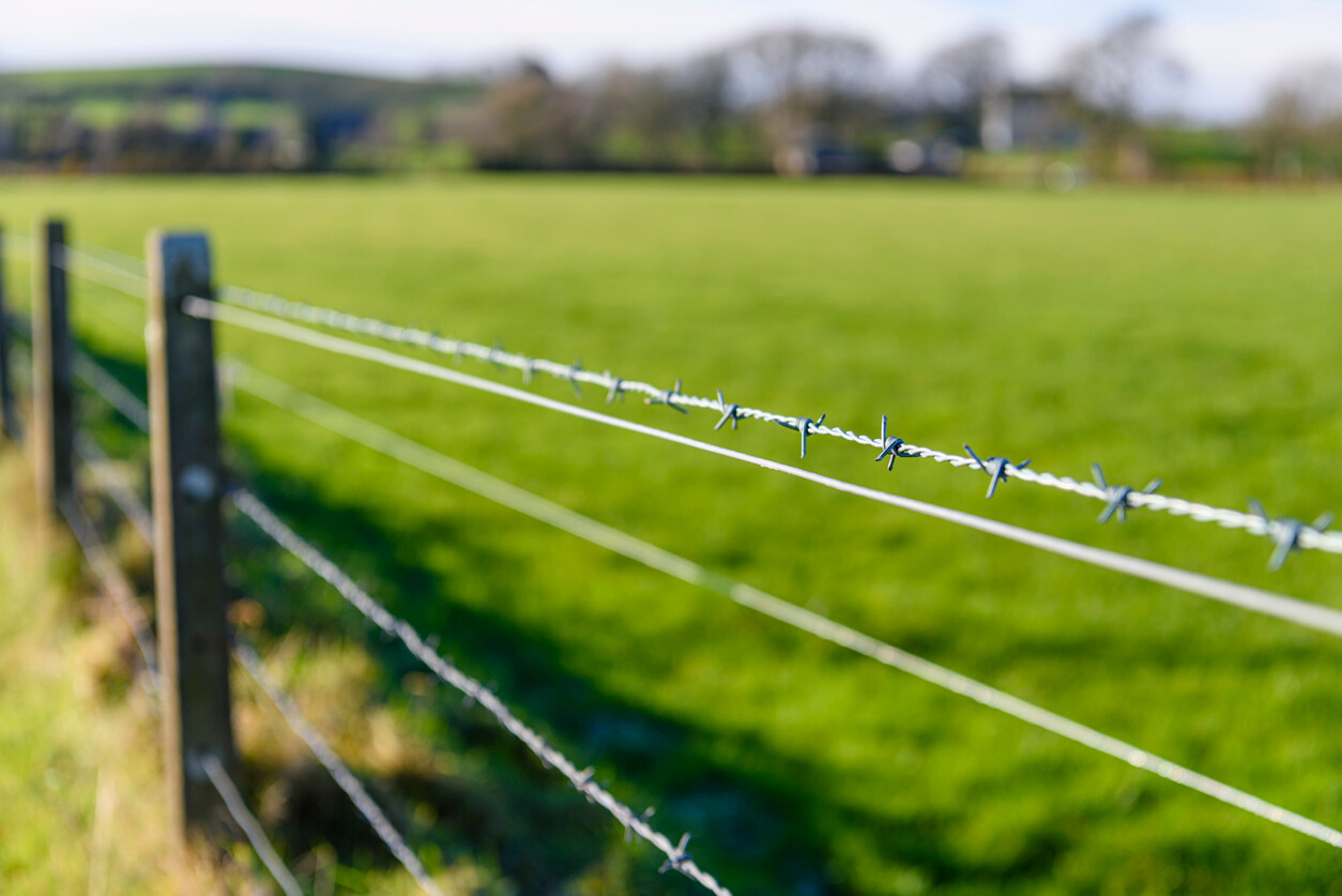 chicken wire fence on a farm