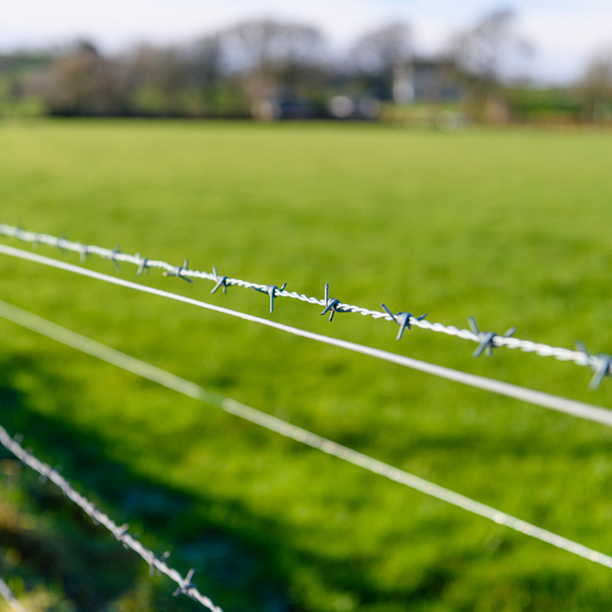 How Much Does a Barbed Wire Fence Cost? (2024)