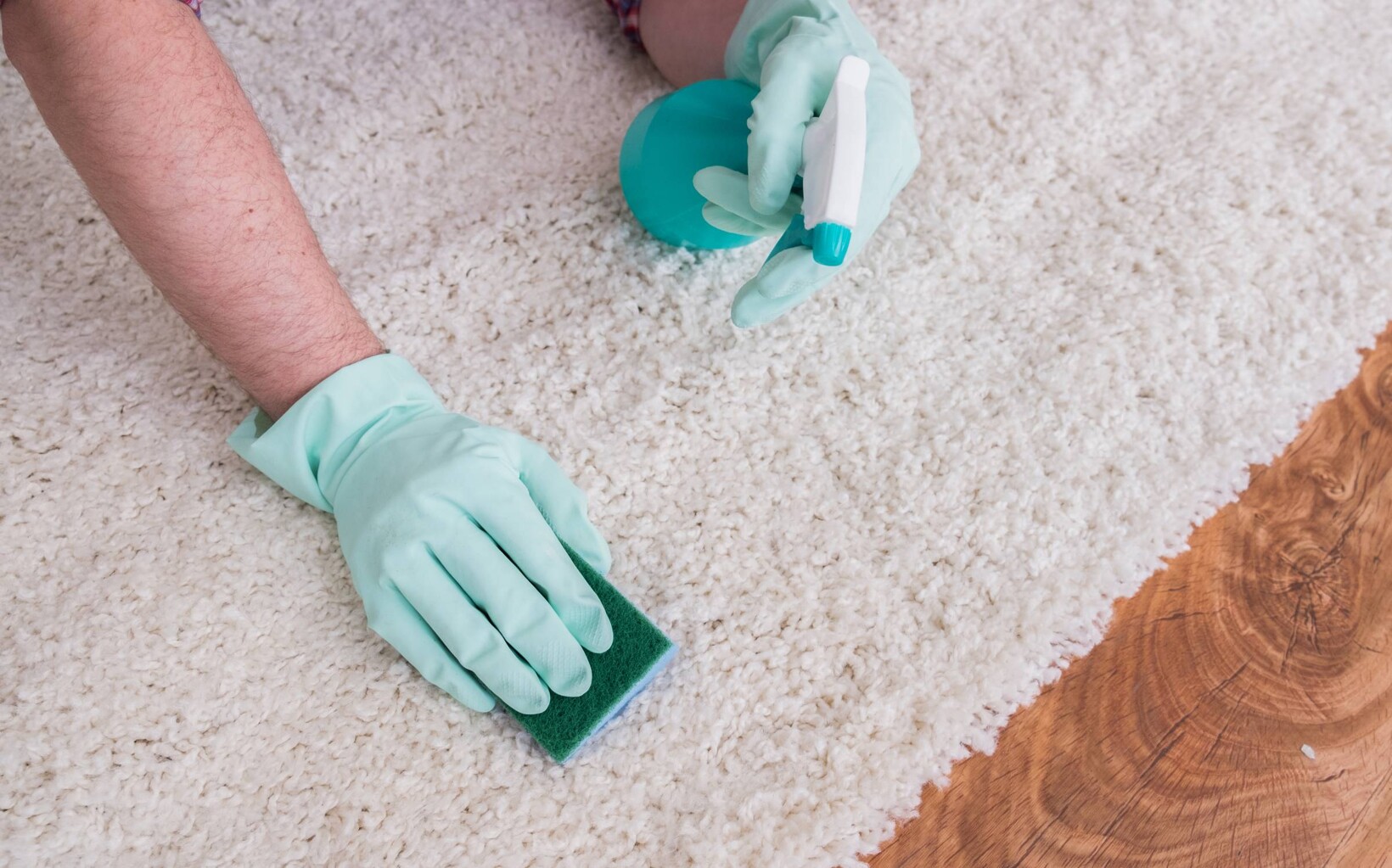 How to Get Dog Pee Out of Carpets Airtasker US