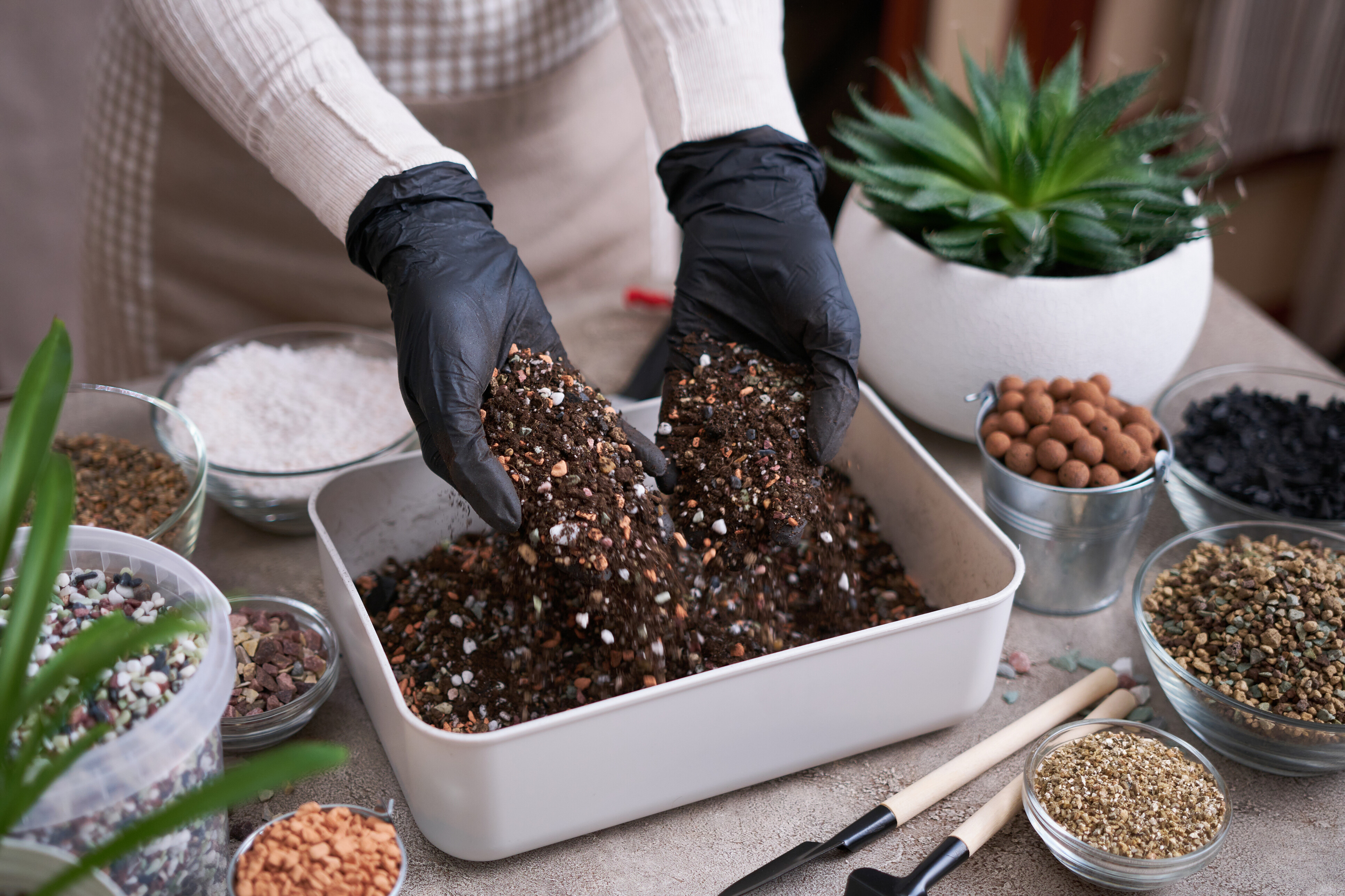 perlite vs pumice which is best for your plants