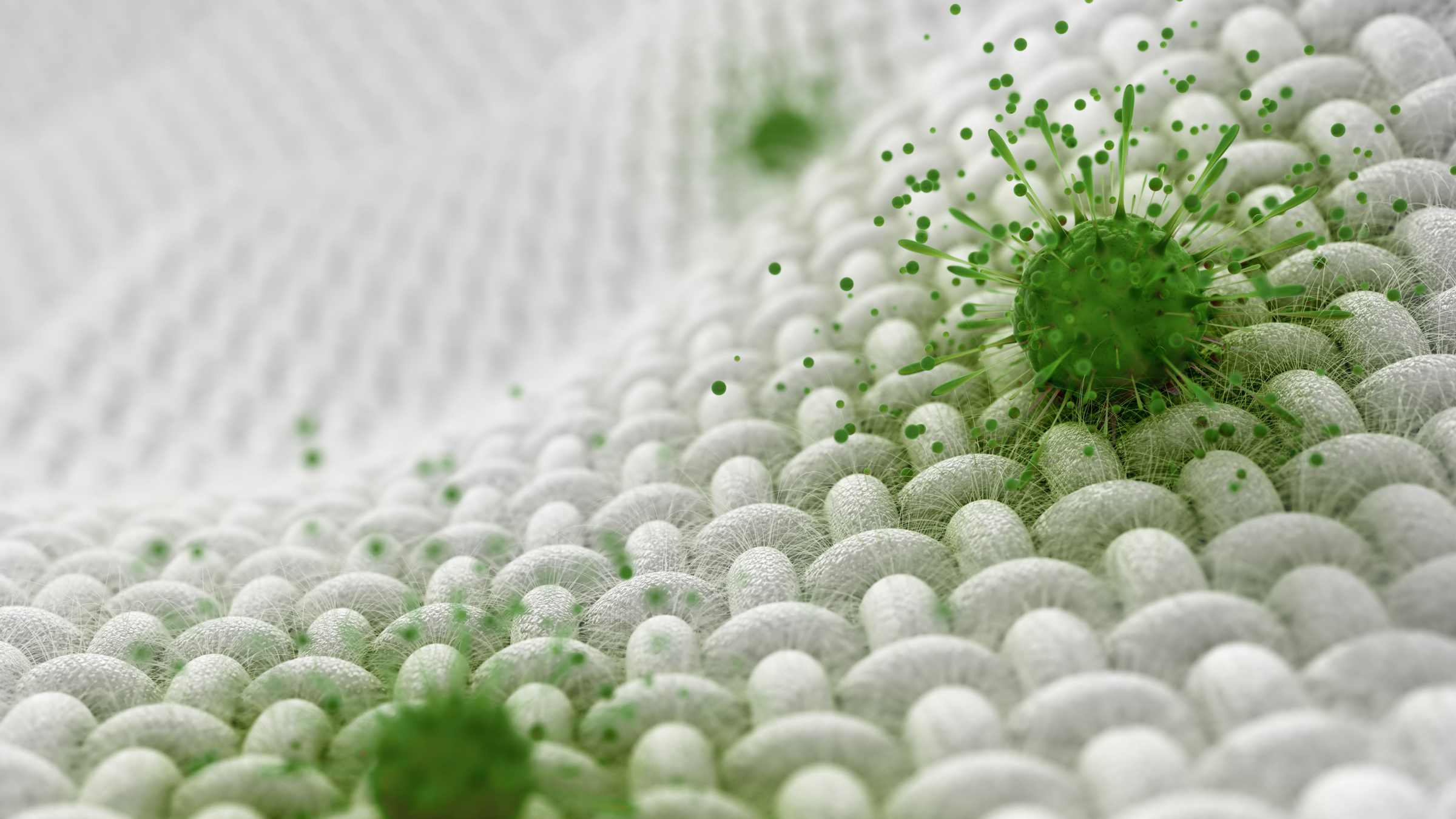 the fabric compatibility of bio and non bio detergent