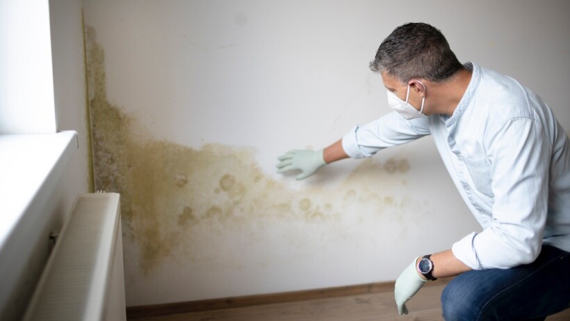 Water damage vs mould - comparing them in terms of causes