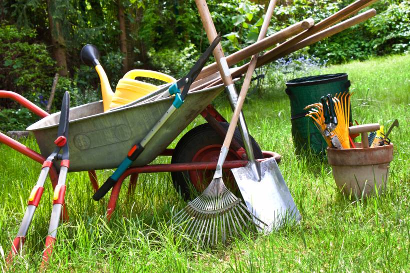 pruning vs trimming - a wheelbarrow with different gardening tools