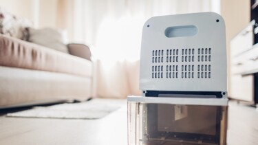 Air Purifier vs. Dehumidifier: Which Is the Better Choice? Airtasker US