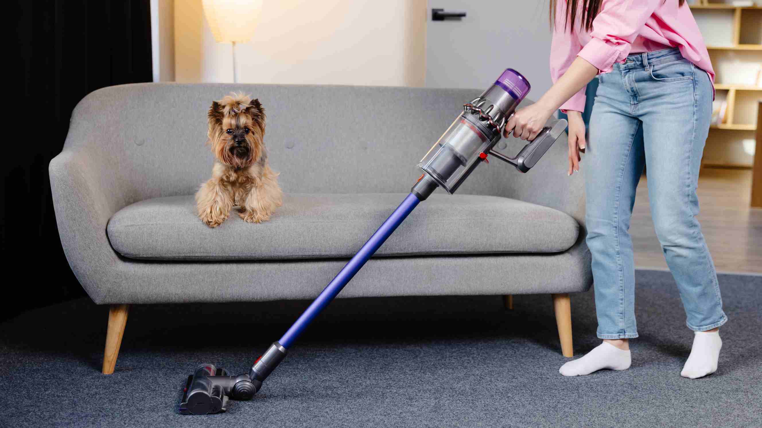 Bagged vs bagless vacuum - A woman vacuuming at home with a bagged vacuum cleaner while her cute dog watches