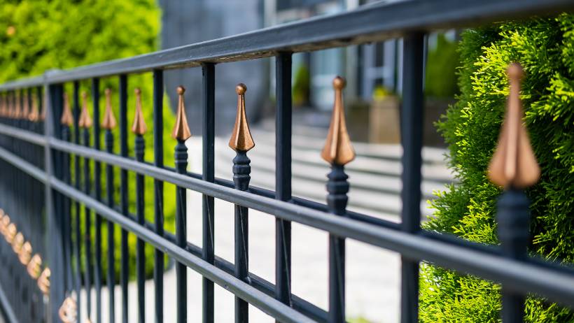 A close-up view of an intricate black metal fence with alternating copper-coloured finial decorations, surrounded by lush green foliage. - fencing cost