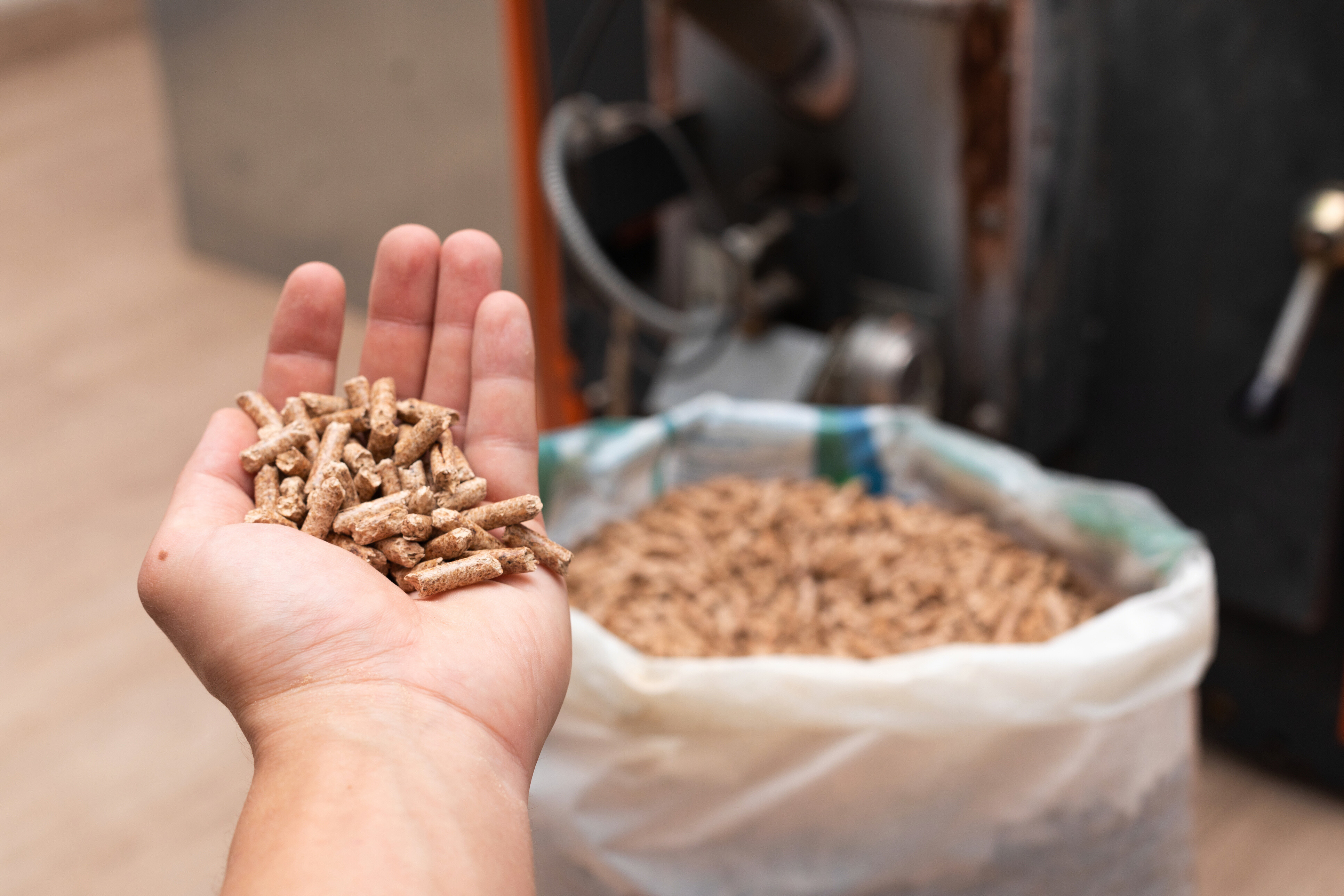 An expert holding a handful of pellets for a biomass boiler.