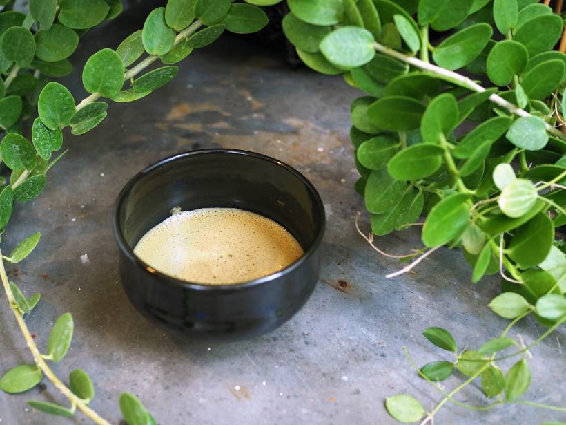 hojicha vs. matcha - a small bowl of hot hojicha