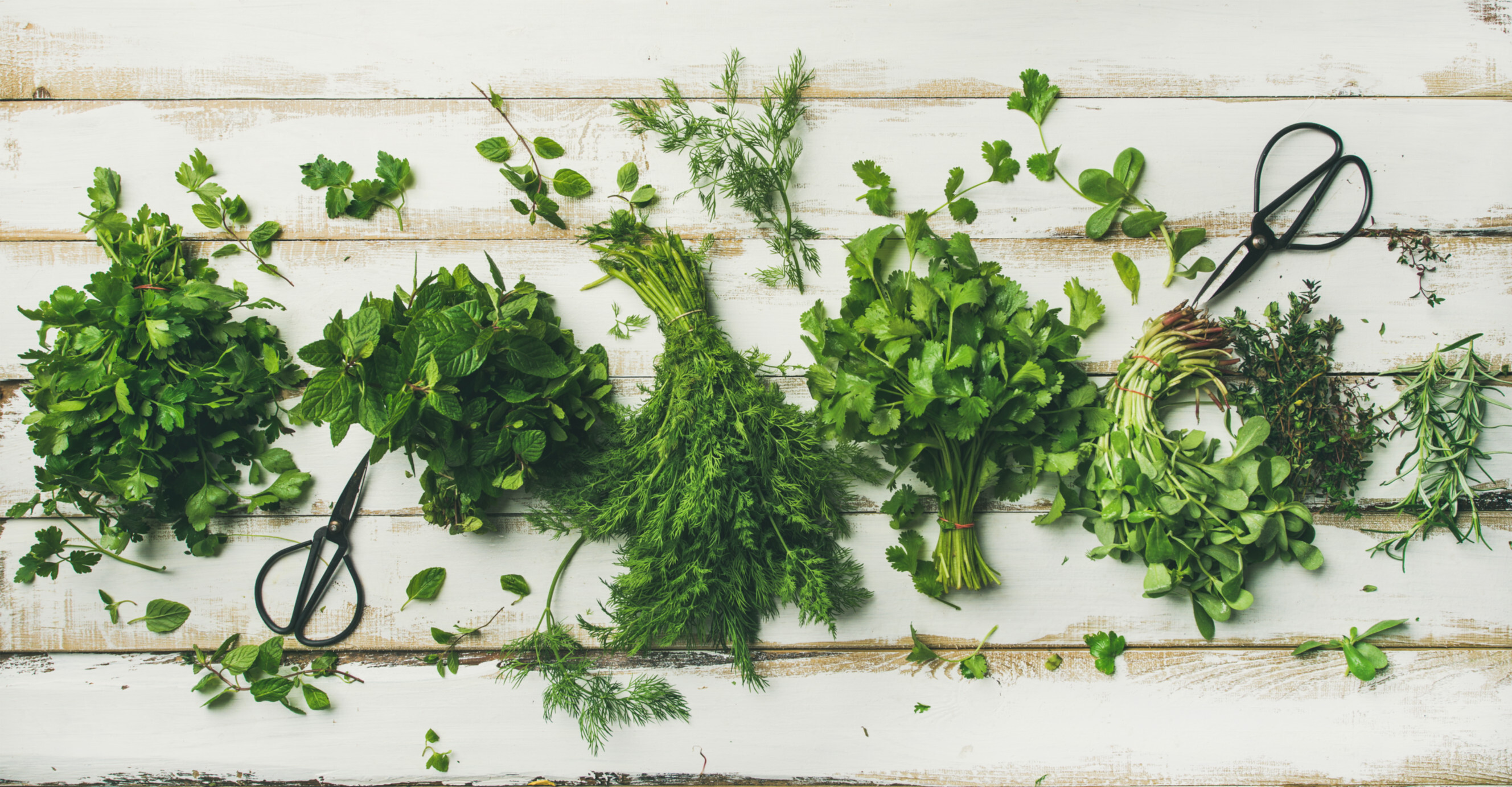 Variety of fresh herbs including parsley and coriander on a table