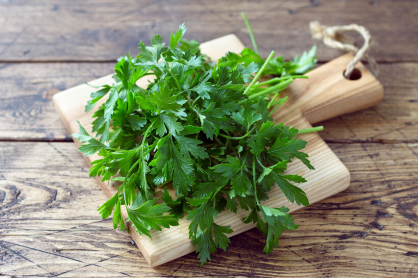 parsley vs coriander - Parsley spread on a cutting board for chopping