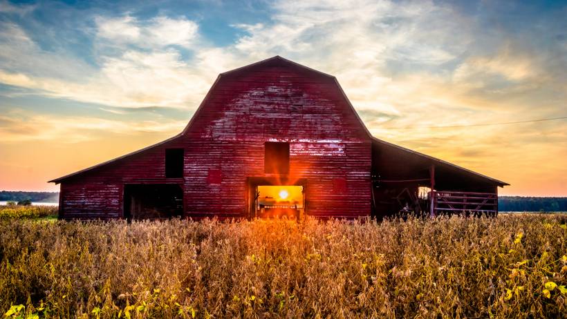 Rustic barn glowing in the warm light of a countryside sunset - barn vs shed