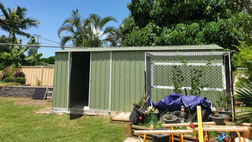 A green metal shed from Easyshed in a backyard, surrounded by gardening tools and plants, with a sunny and lush environment