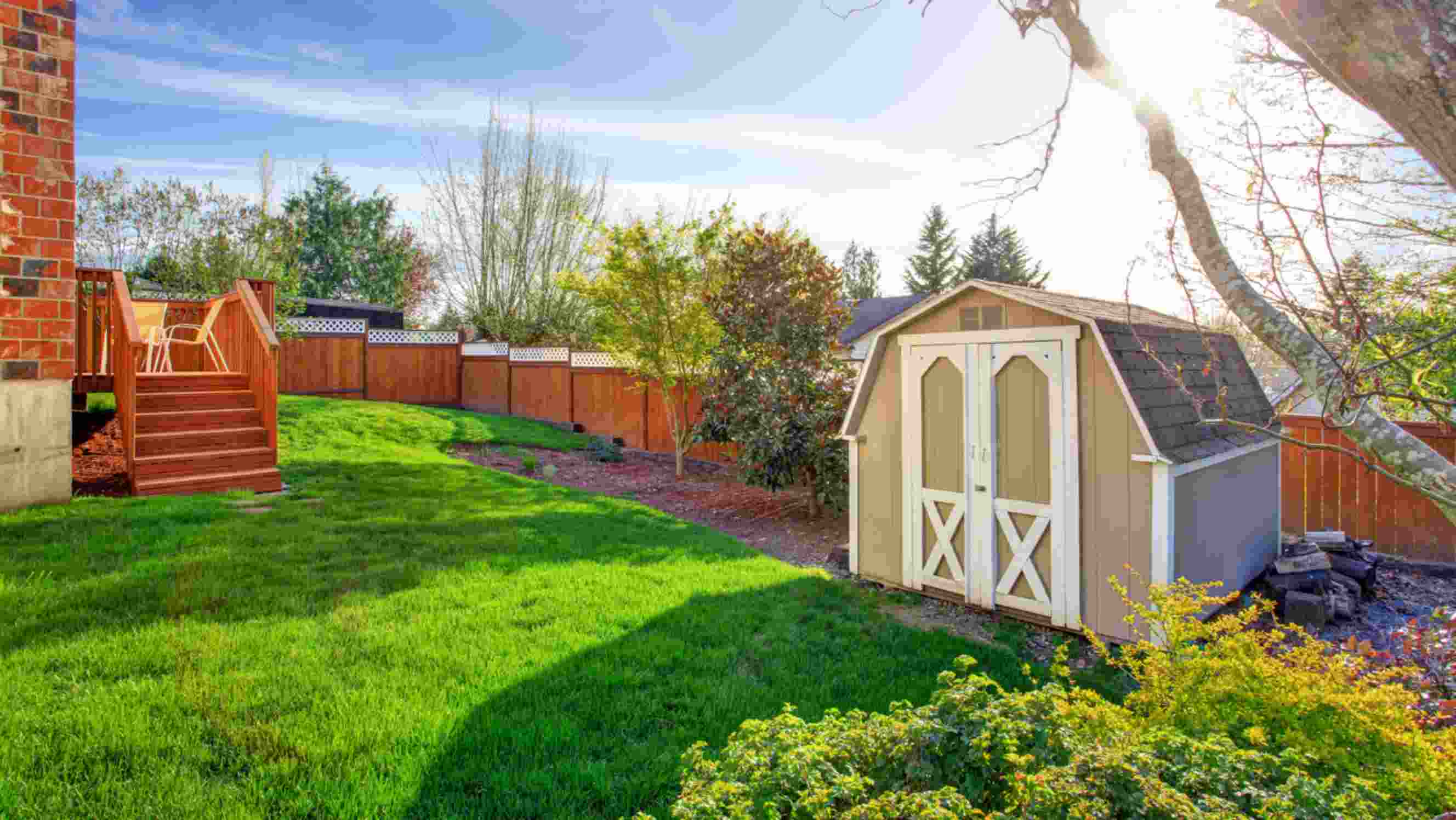 Timber frame shed vs steel shed - A backyard with a well-maintained lawn, a light brown timber-frame shed with white trim, a wooden deck, and trees under a sunny sky