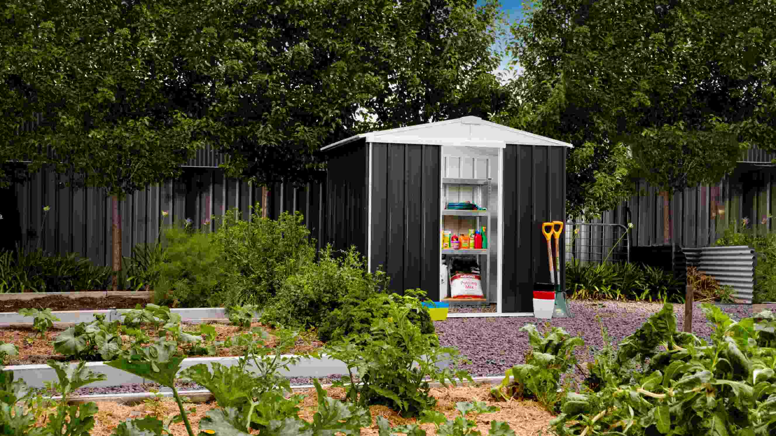 A small, black EasyShed garden shed in a lush vegetable garden