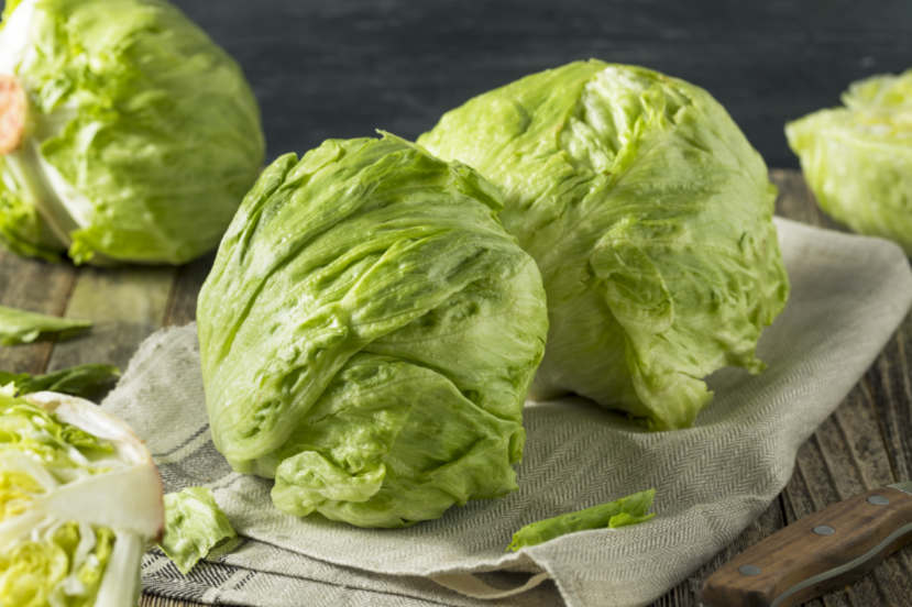 Iceberg lettuce vs romaine - Fresh iceberg lettuce heads on a rustic wooden table