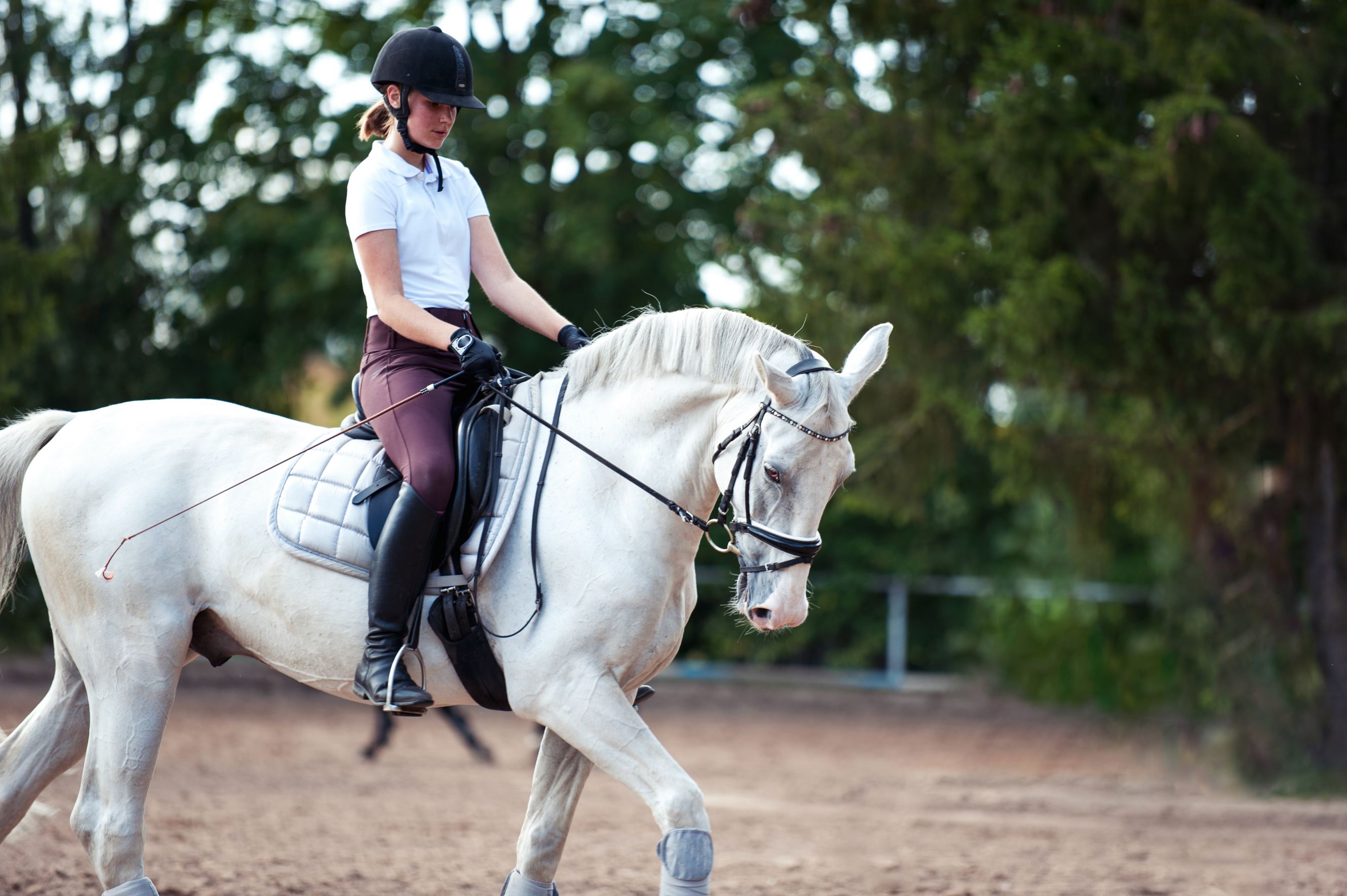 A teenage girl rides a trotting gray horse on a sandy arena while practicing at an equestrian school with horse trainers.