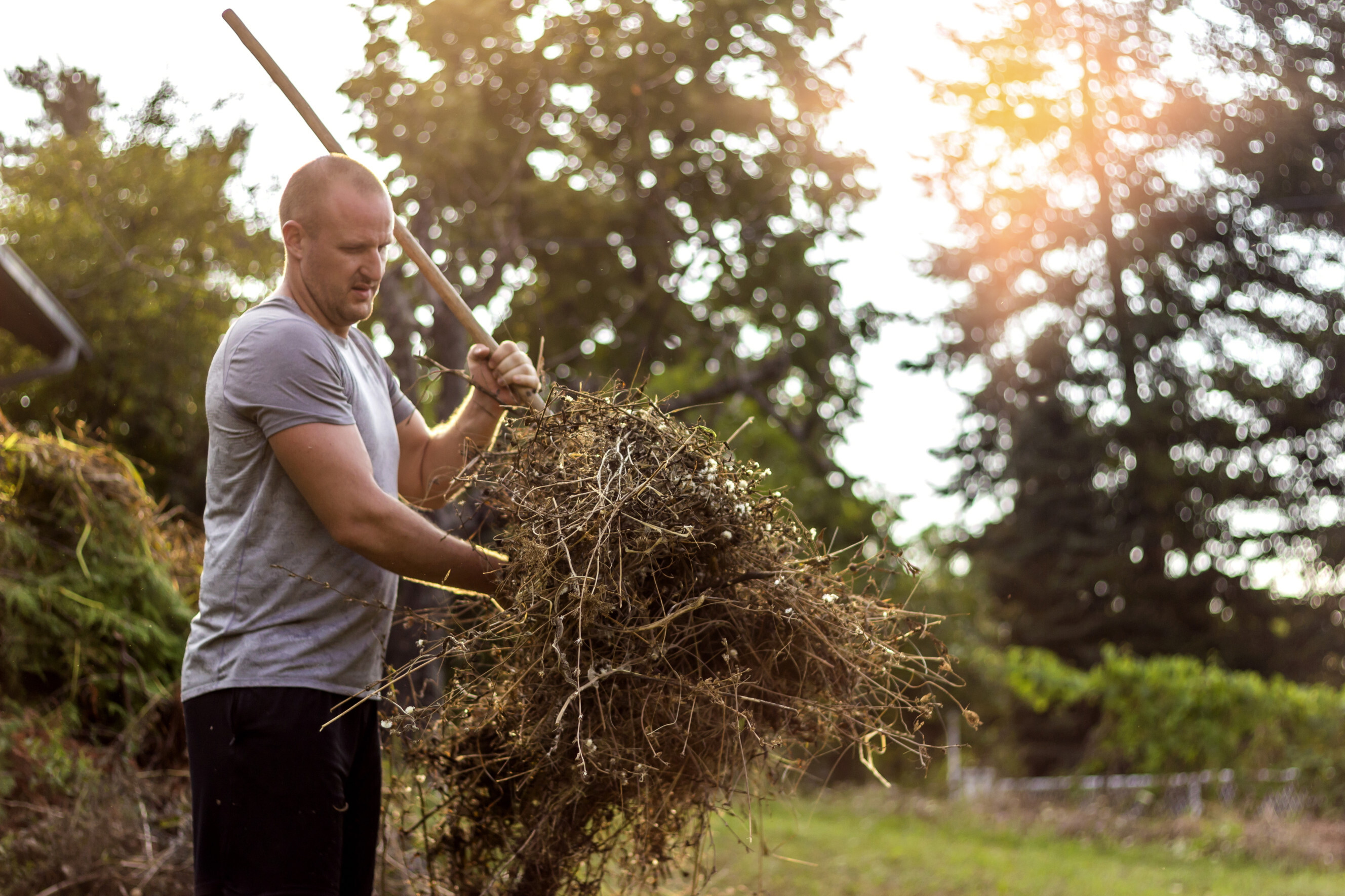 Gardener tidying up yard debris under the afternoon sun, highlighting professional garden tidy-up services near you.