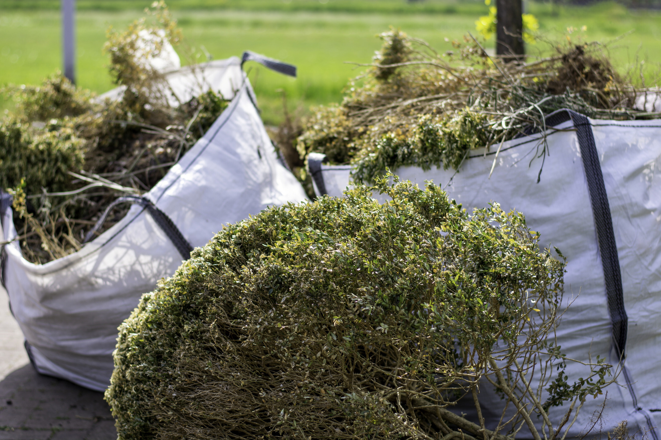 Large white bags filled with trimmed branches and garden waste, showcasing professional garden waste collection services near you.