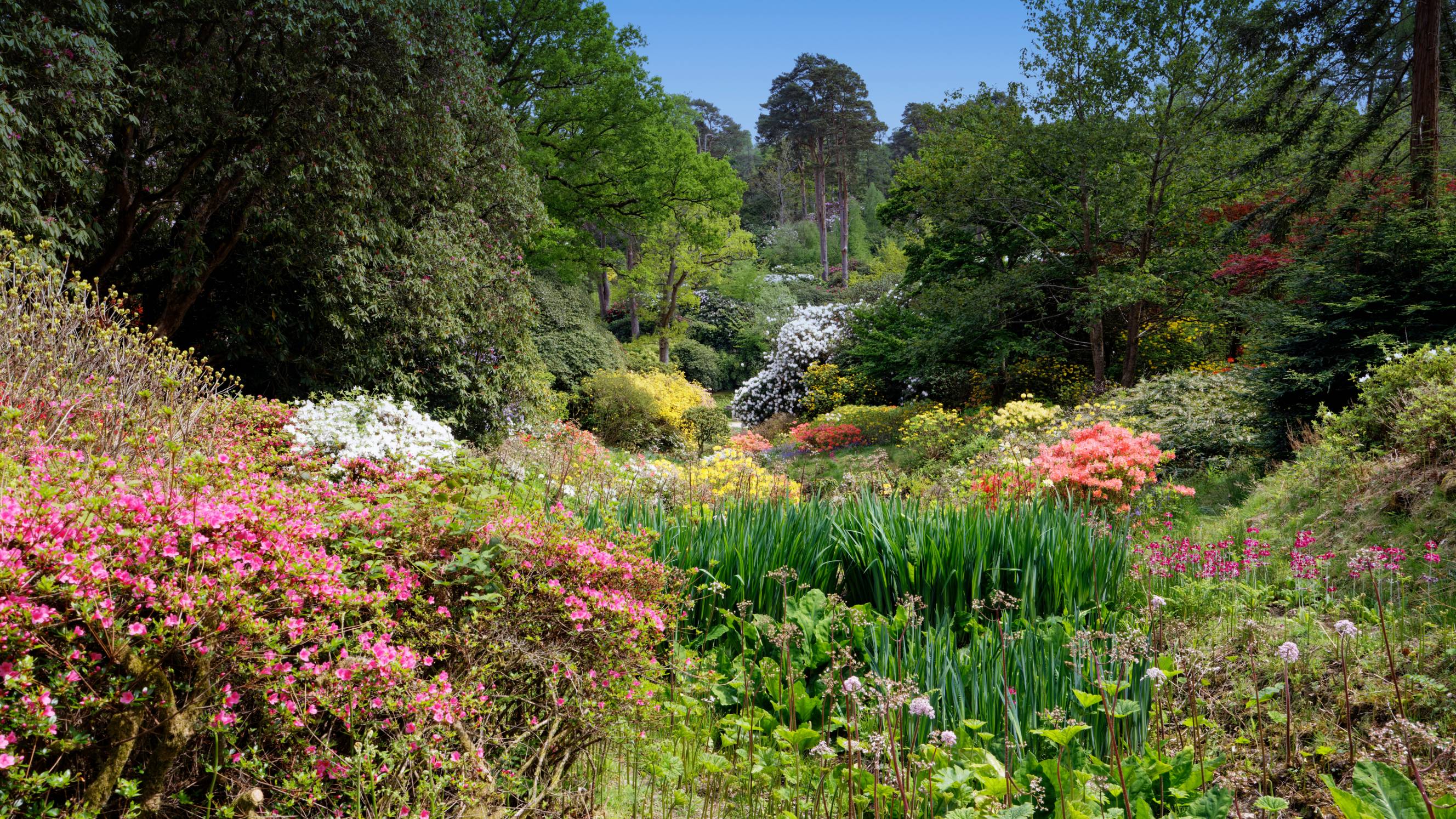 an English garden in springtime