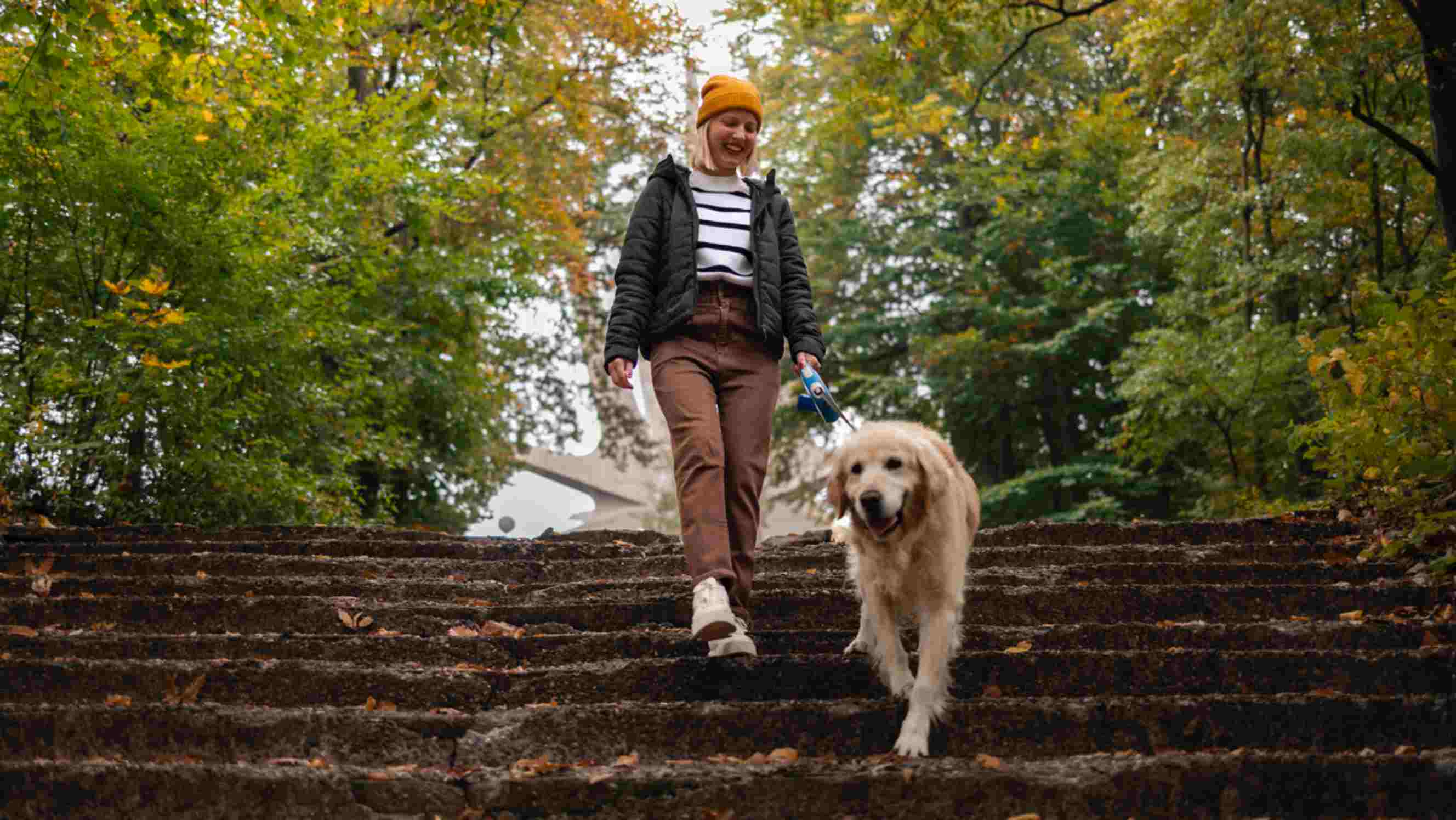 A woman in casual autumn attire walking a dog down a stone staircase surrounded by vibrant greenery, illustrating a joyful dog walking experience.