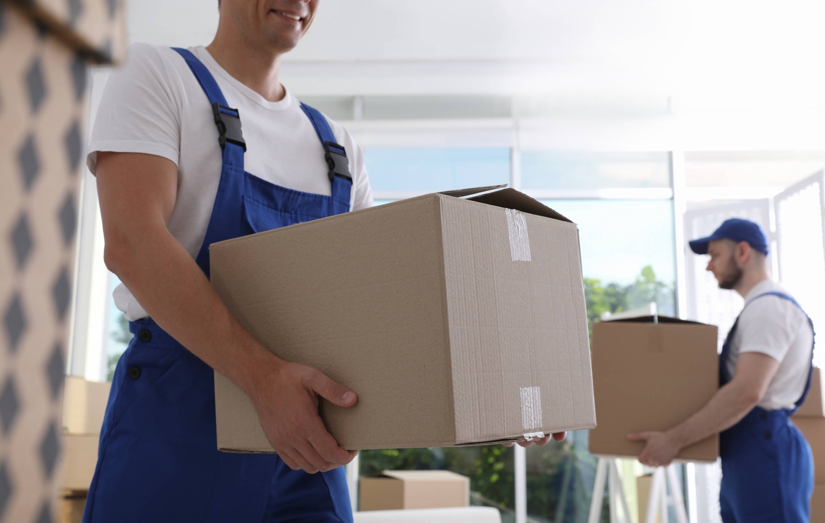 Male movers carrying cardboard boxes during house removals