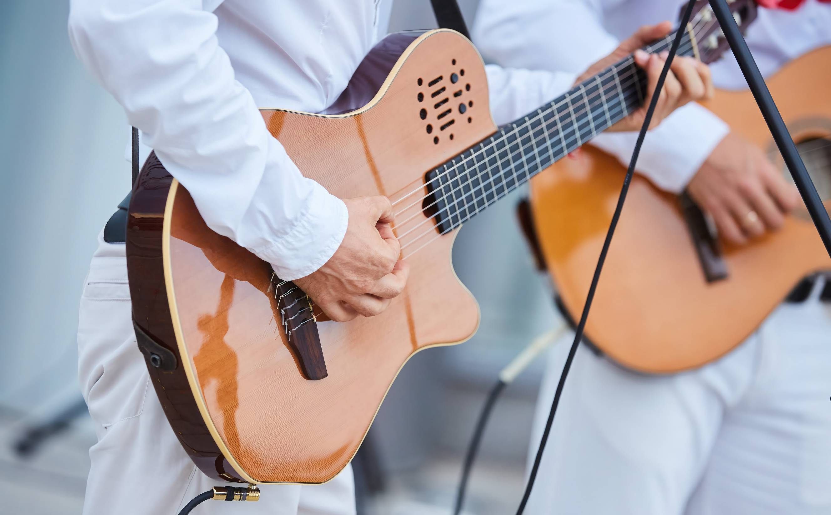 Two guitarists playing for wedding entertainment services during a reception