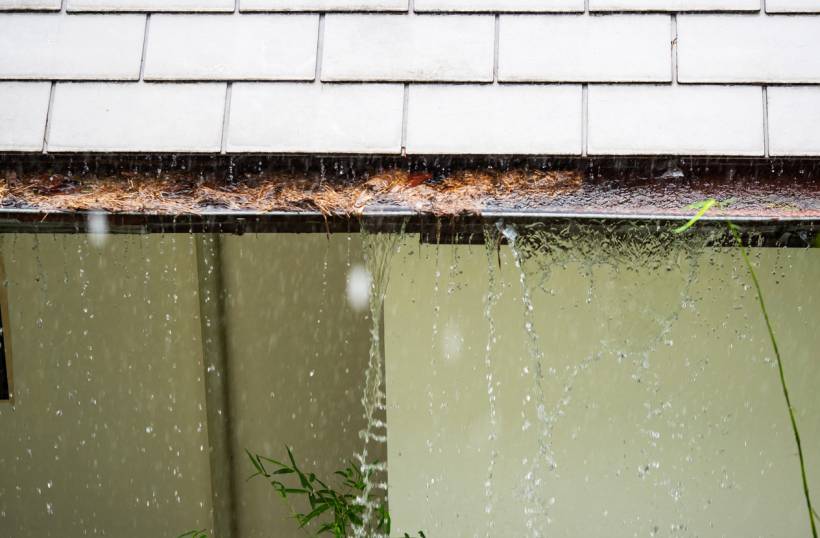 gutter cleaning cost - a clogged rain gutter