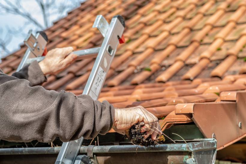 gutter cleaning - a man on a ladder cleaning house gutters