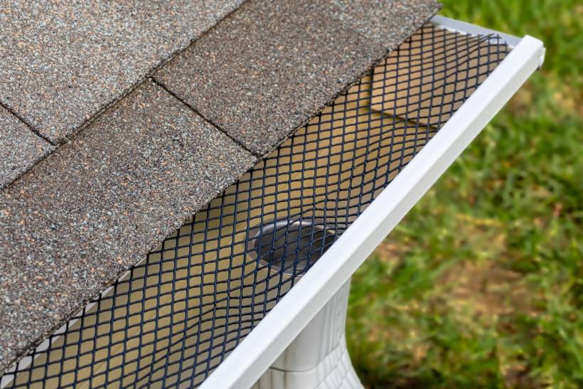 gutter cleaning - mesh screen on rain guttering