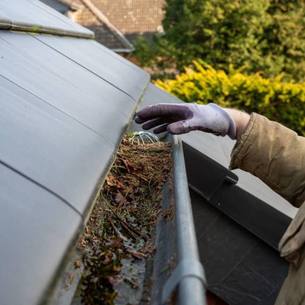 How Much Does Gutter Cleaning Cost in the US? [2026 Data] | Airtasker US