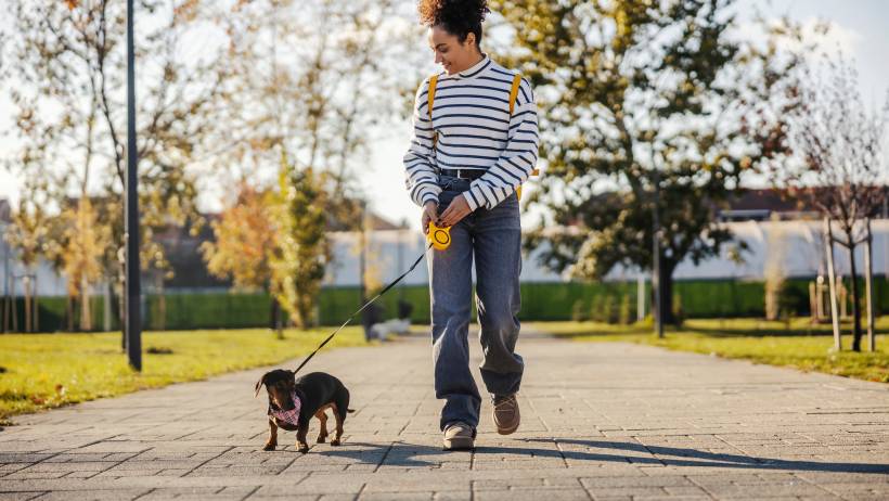 A young woman walking a small dog in a park - make money running errands