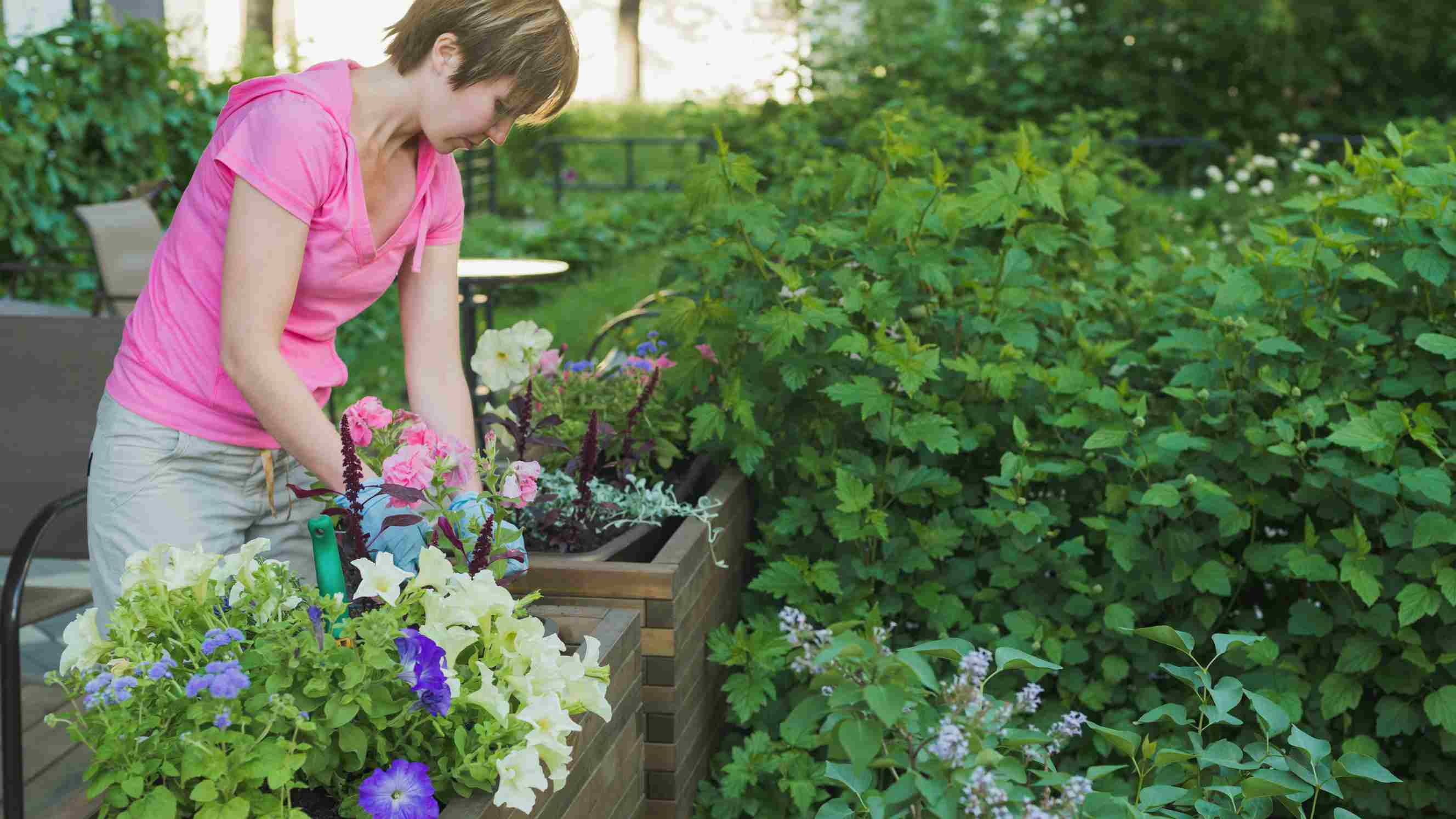 An expert arranging flowers in a landscaped garden, showcasing garden designers near you