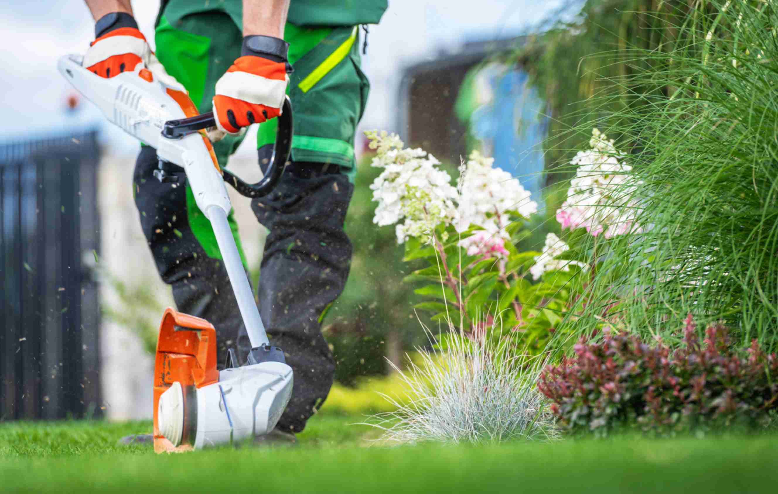 A professional gardener trimming grass along a flower bed, highlighting garden edging near you.