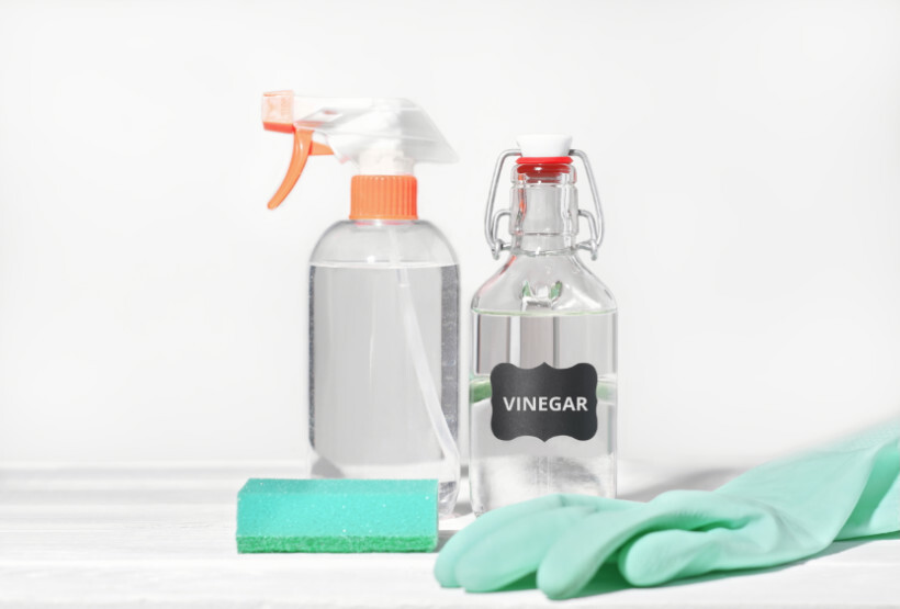 how to eradicate pantry weevils - two bottles of vinegar and a green sponge next to a pair of rubber gloves on a white surface