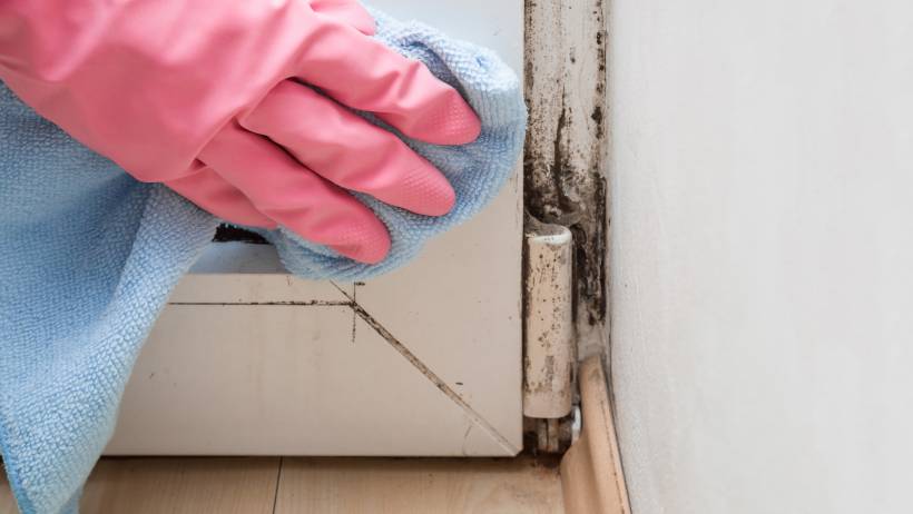 A person wearing pink gloves cleans black mould from a window sill with a blue cloth - how to remove mould
