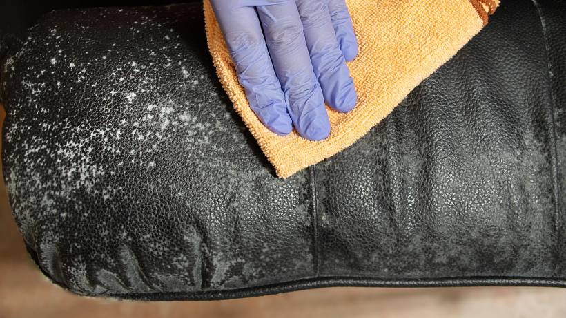 White mould spores on a black leather couch being wiped away. - how to eliminate mould