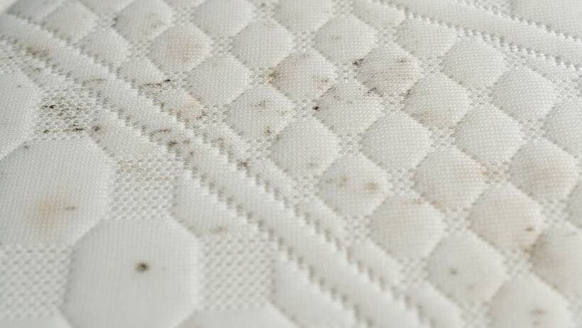 Patches of dark mould growth visible on a textured white mattress surface. - how to remove mould