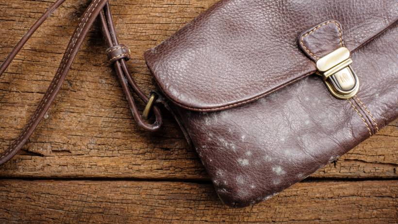 Detail of a leather shoulder bag with white mould spots on its surface. - how to get rid of mould