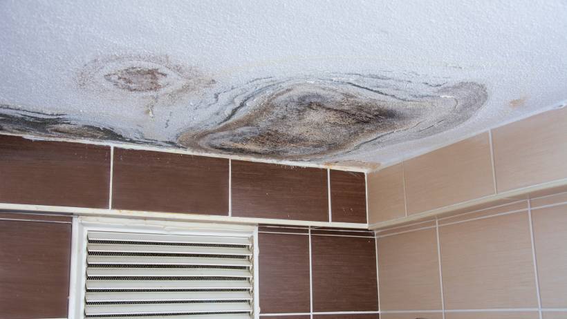 Water damage and extensive mould growth visible on a bathroom's popcorn ceiling. - how to eliminate mould