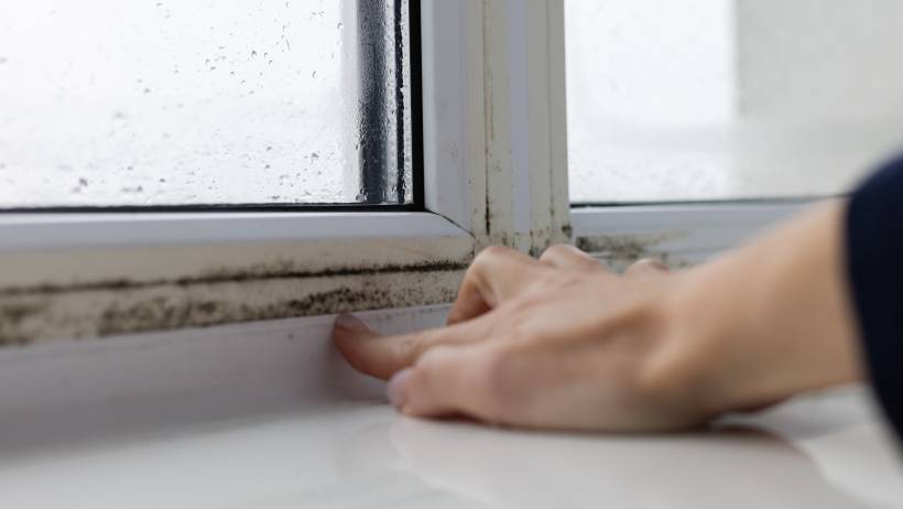 Close-up view of black mould accumulating on the frame and sill of a window. - how to remove mould