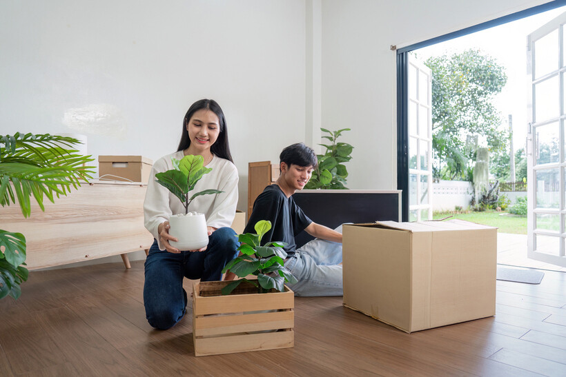 Young man and woman unpacking houseplants in a new home. - how to move plants