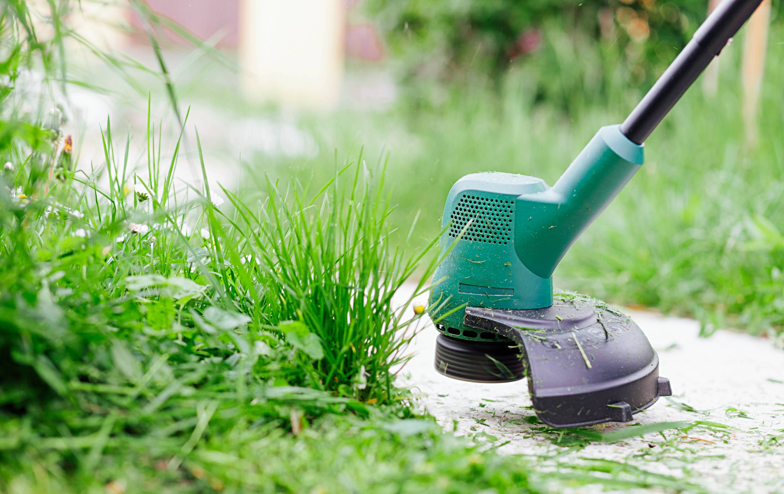 Trimming a lawn using a grass trimmer