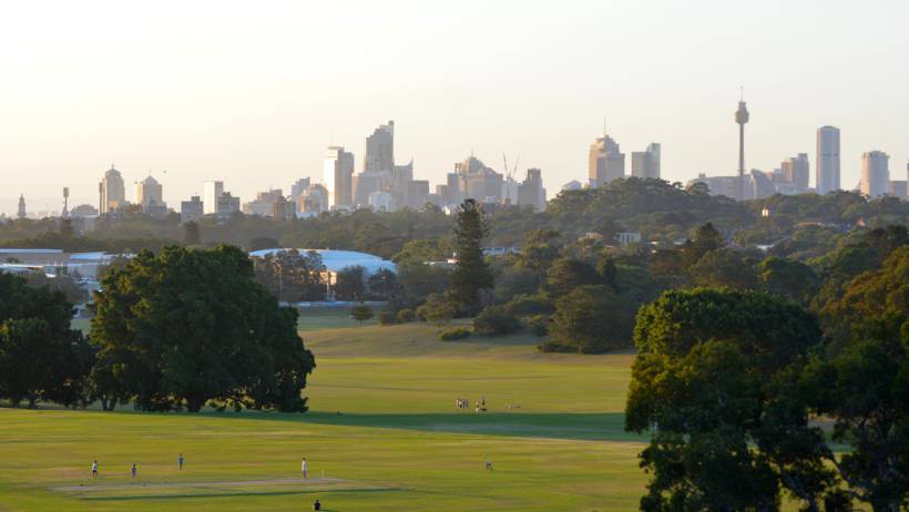 Expansive green fields of Centennial Park with the Sydney skyline - moving to sydney