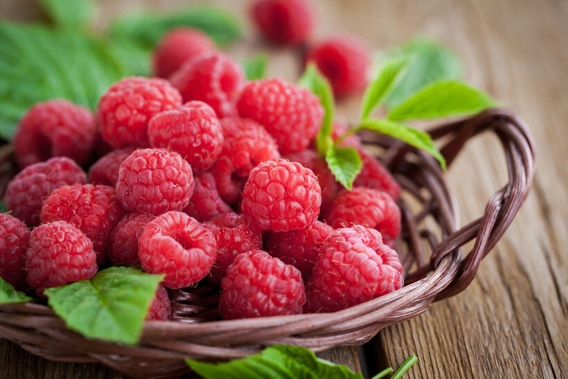 A basket filled with ripe red raspberries with fresh green leaves sitting on a wooden table. - raspberry vs blueberry