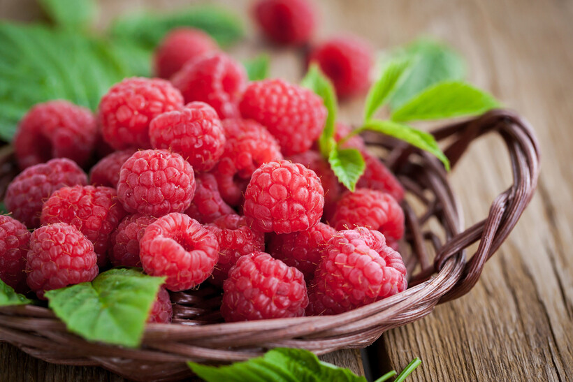 Blueberries vs Raspberries: How to Differentiate Them? | Airtasker AU