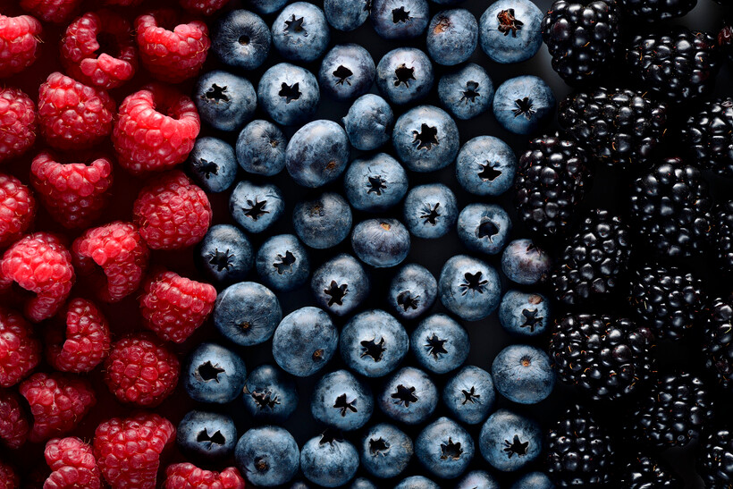 A variety of forest berries including raspberries and blueberries arranged neatly. - blueberries vs raspberries