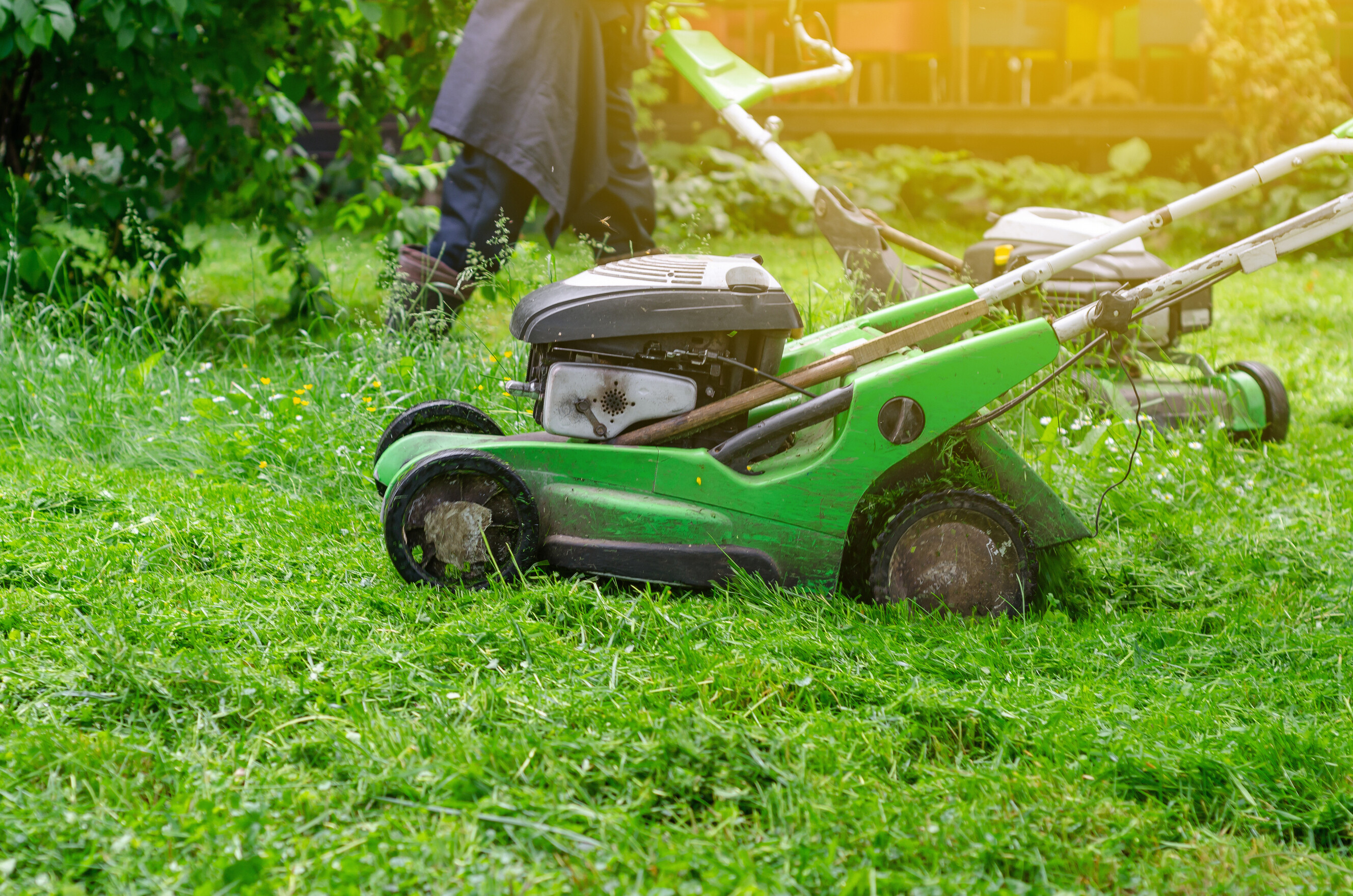Side view of a mower actively cutting thick lawn grass on a sunny day.