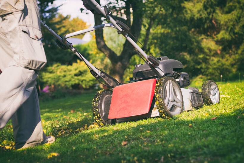 Mowing the lawn with a specialised machine designed for mulching and nourishing the grass. - bagging grass vs mulching