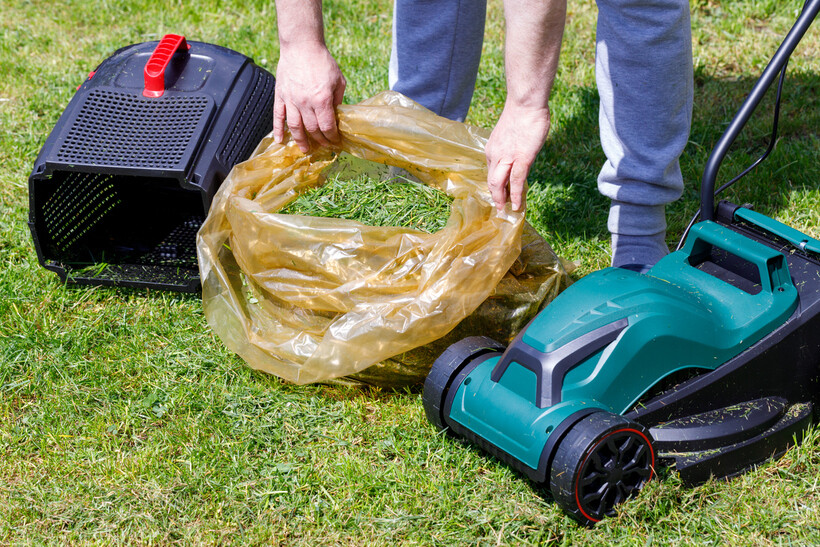 A person emptying mowed grass from a mower basket into a large disposal bag. - bagging grass vs mulching